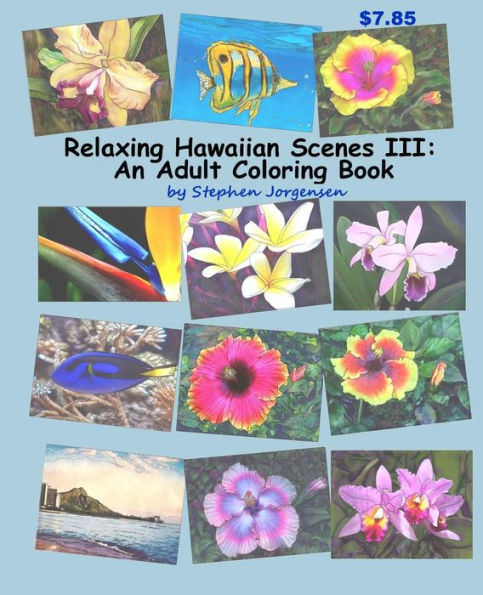 Relaxing Hawaiian Scenes Iii: An Adult Coloring Book