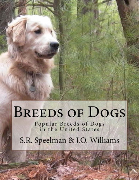 Breeds Of Dogs: Popular Breeds Of Dogs In The United States
