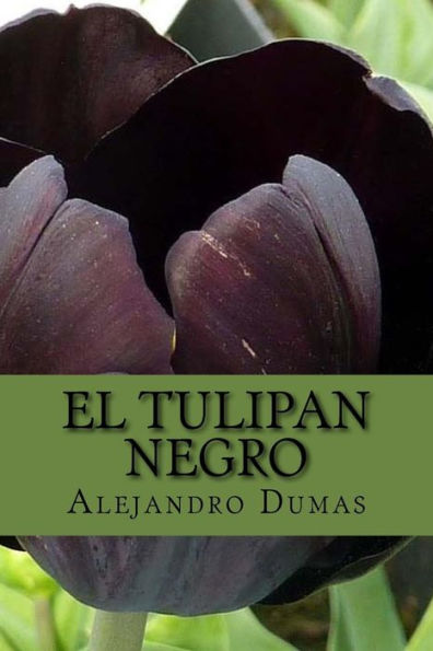 El Tulipan Negro (Spanish) Edition (Spanish Edition) - 9781546990246