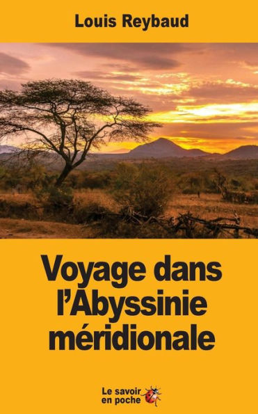 Voyage Dans L’Abyssinie Méridionale (French Edition)