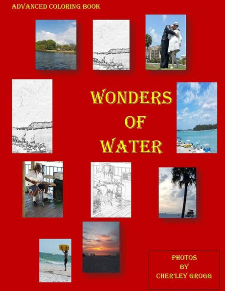 Wonders Of Water: Advanced Coloring Book