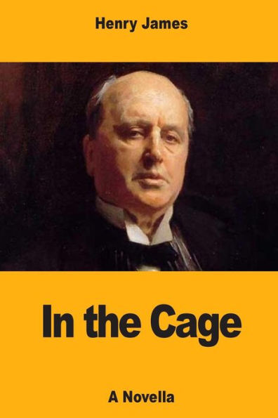In The Cage - 9781547208432