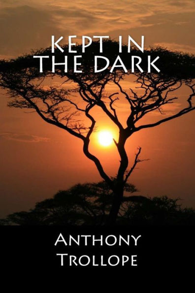 Kept In The Dark - 9781548052652