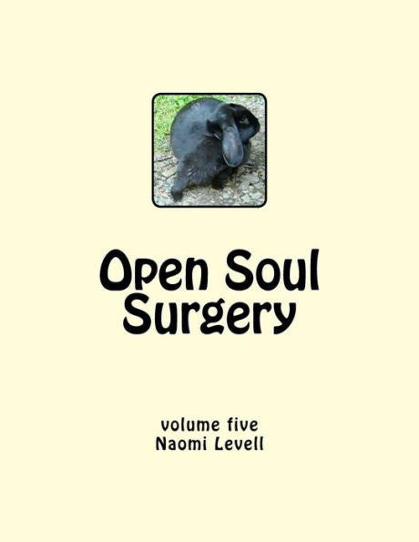 Vol. 5, Open Soul Surgery, Large Print Edition: The Daughter (Volume 5)