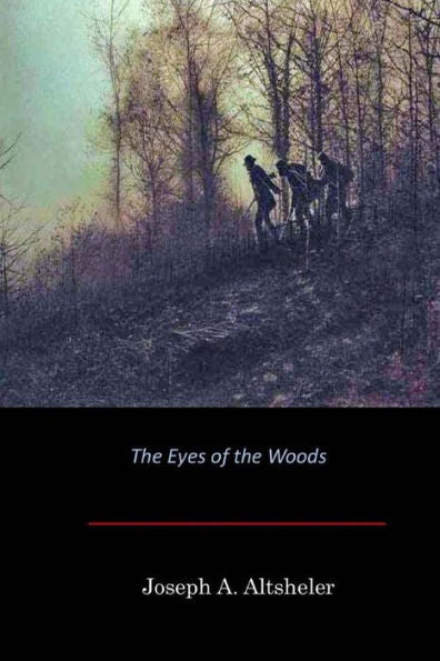 The Eyes Of The Woods - 9781548217099