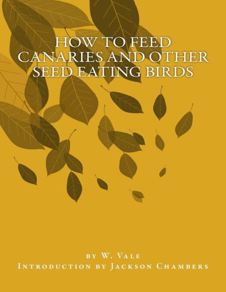 How To Feed Canaries And Other Seed Eating Birds