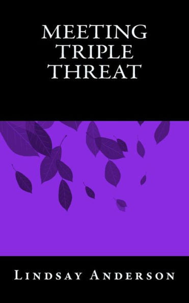 Meeting Triple Threat (The Fresh Faces) (Volume 17)
