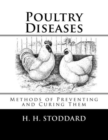 Poultry Diseases: Methods Of Preventing And Curing Them