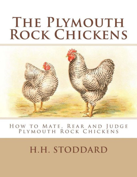 The Plymouth Rock Chickens: How To Mate, Rear And Judge Plymouth Rock Chickens
