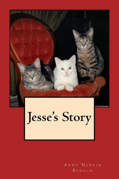 Jesse's Story - 9781548503321