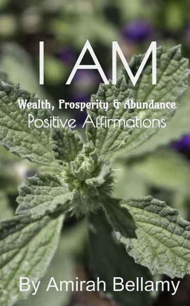 I Am Wealth, Prosperity & Abundance Positive Affirmations - 9781548512453