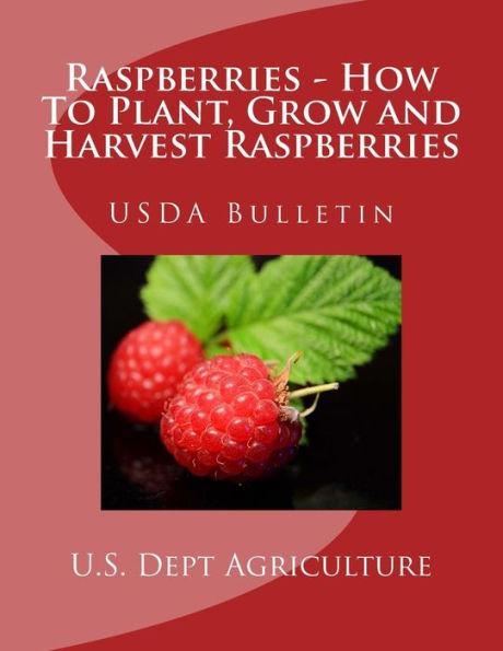 Raspberries - How To Plant, Grow And Harvest Raspberries: Usda Bulletin