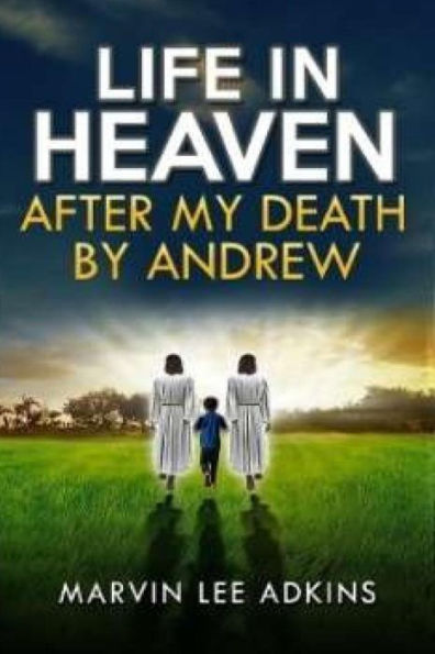 Life In Heaven After My Death By Andrew: Help Dealing With Grief, Loss, And Death Of A Love One (Understanding The Chaos, Facts, And Realities Of Life And Death, Living And Dying)