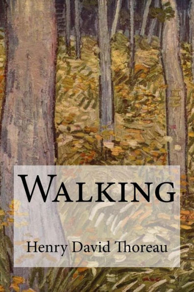 Walking - 9781548930356