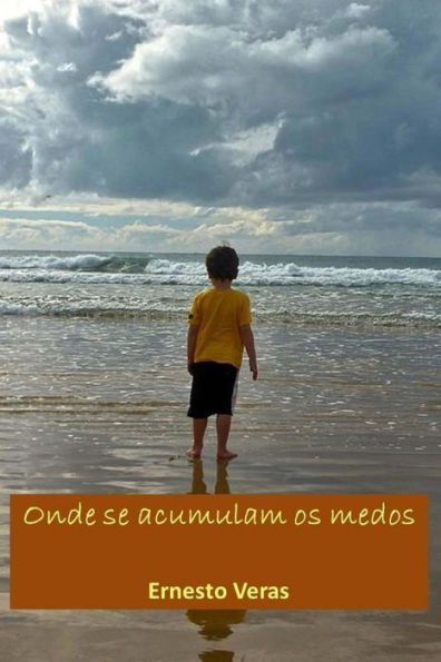 Lá Onde Se Acumulam Os Medos (Portuguese Edition)
