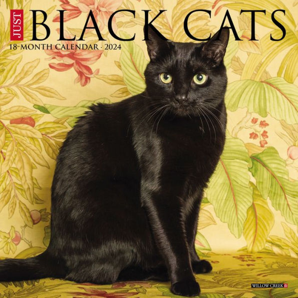 Just Black Cats 2024 Calendar
