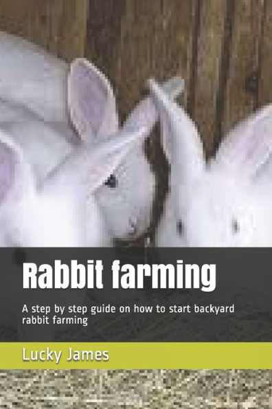 Rabbit Farming: A Step By Step Guide On How To Start Backyard Rabbit Farming