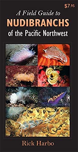 A Field Guide To Nudibranchs Of The Pacific Northwest (Field Guide To... (Harbour Publishing))