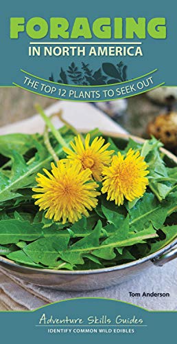 Foraging In North America: The Top 12 Plants To Seek Out (Adventure Skills Guides)