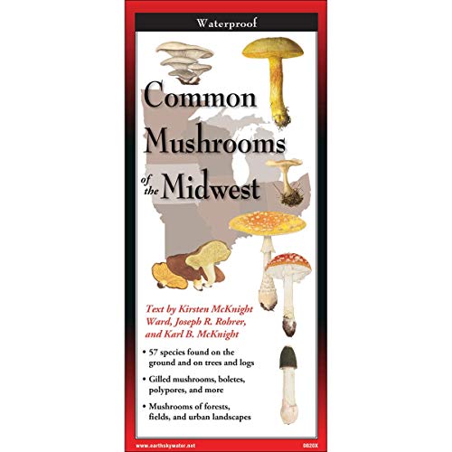 Common Mushrooms Of The Midwest