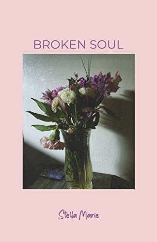 Broken Soul (Paperback)