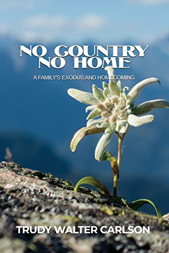 No Country No Home: A Family's Exodus and Homecoming