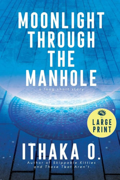 Moonlight Through The Manhole: A Long Short Story - 9781637931059