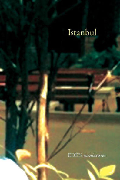 Istanbul (Eden Miniatures)