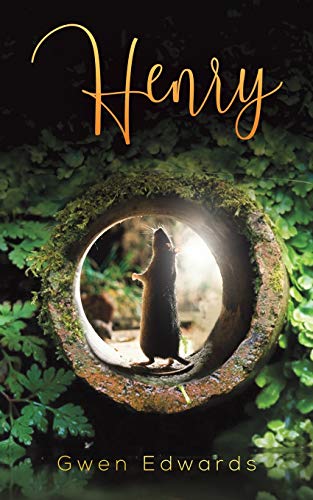 Henry - 9781643788784