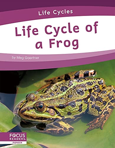 Life Cycle Of A Frog
