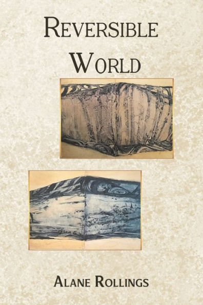 Reversible World - 9781645361985