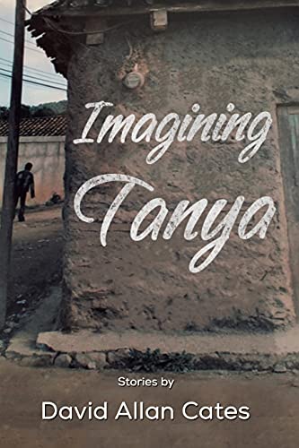 Imagining Tanya - 9781647507534