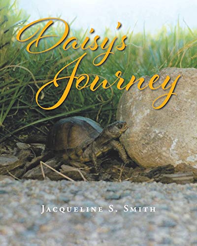 Daisy's Journey - 9781648015977