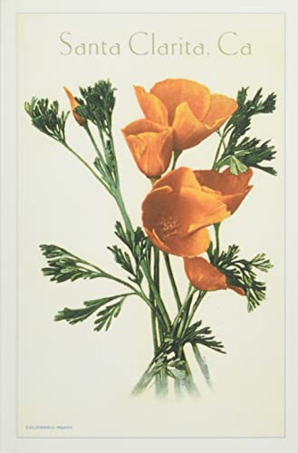 The Vintage Journal California Poppy, Santa Clarita (Pocket Sized