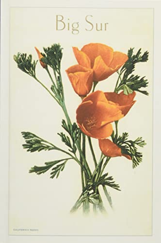 The Vintage Journal California Poppy, Big Sur (Pocket Sized