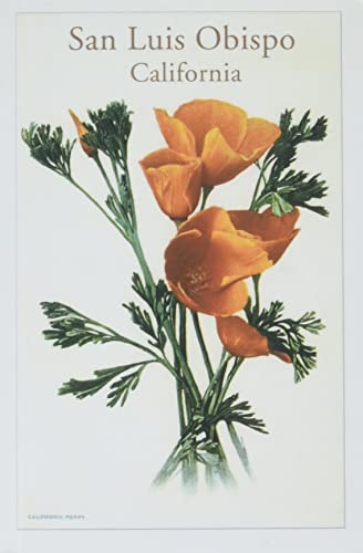 The Vintage Journal San Luis Obispo, California Poppies (Pocket Sized
