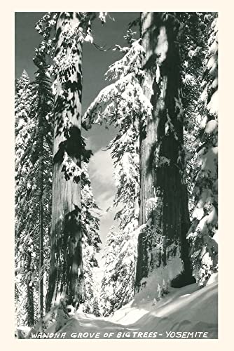 Vintage Journal Wawona Grove Of Big Trees, Yosemite (Pocket Sized
