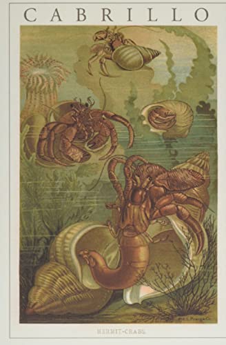Vintage Journal Cabrillo, Hermit Crabs (Pocket Sized