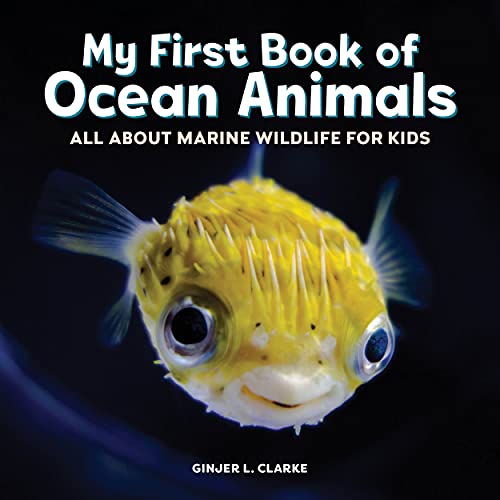 My First Book Of Ocean Animals: All About Marine Wildlife For Kids