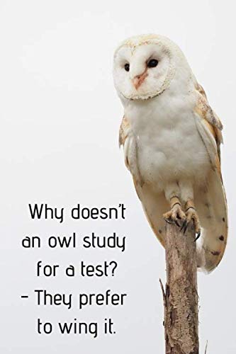 Why Doesn?T An Owl Study For A Test? - They Prefer To Wing It.