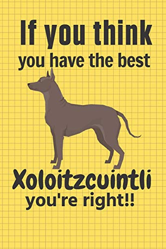 If You Think You Have The Best Xoloitzcuintli You'Re Right!!: For Xoloitzcuintli Dog Fans