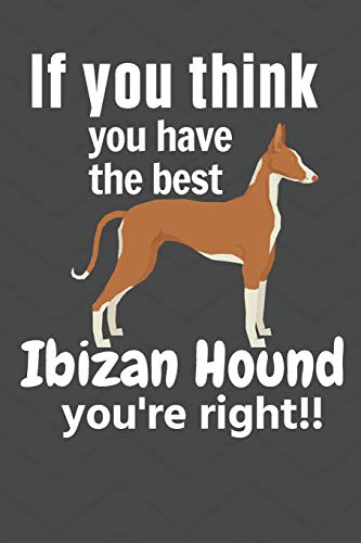 If you think you have the best Ibizan Hound you're right!!: For Ibizan Hound Dog Fans