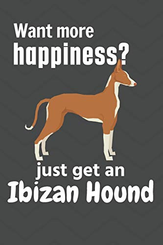 Want More Happiness? Just Get An Ibizan Hound: For Ibizan Hound Dog Fans