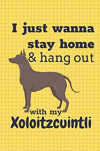 I Just Wanna Stay Home & Hang Out With My Xoloitzcuintli: For Xoloitzcuintli Dog Fans