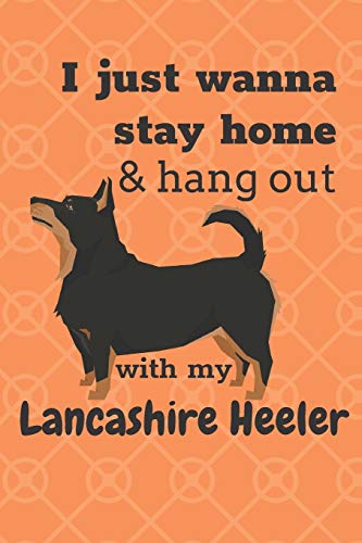 I Just Wanna Stay Home & Hang Out With My Lancashire Heeler: For Lancashire Heeler Dog Fans