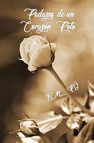 Pedazos De Un Coraz?n Roto (Spanish Edition)