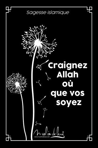 Sagesse islamique: Sagesse islamique (French Edition)