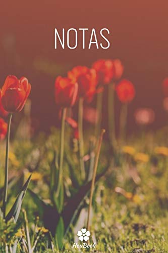 NOTAS: Caderno cl??ssico com capa mole. (Portuguese Edition) - 9781657677982