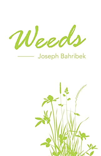 Weeds - 9781663223104
