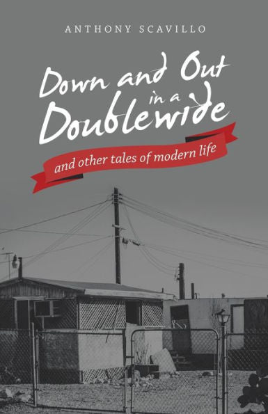 Down And Out In A Doublewide And Other Tales Of Modern Life